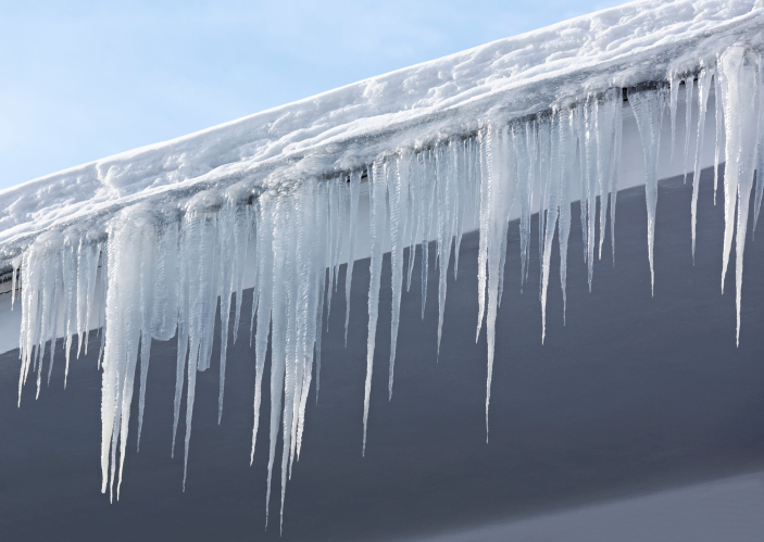 frozen house